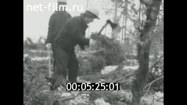 1977г. посёлок Лахколамби. леспромхоз. Соломенников И.Д.  Суоярвский район Карелия.