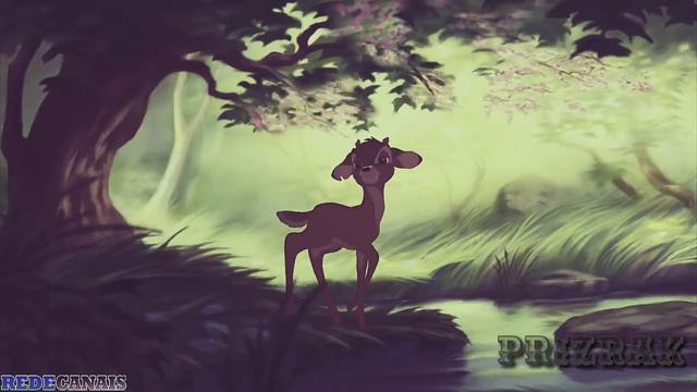 ɓαɱɓเ & ɾσɳɳσ|Бεʍби и Ронно|Сон(Ⴁит. Опис.) смотреть онлайн