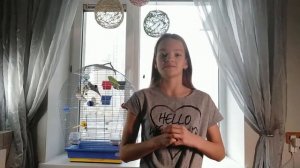 Как выпустить попугая из клетки в ПЕРВЫЙ РАЗ?Правила безопасности при вылете попугая из клетки!