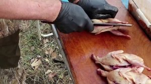 ПЕРЕПЕЛКА ТАПАКА НА ДРОВЯНОЙ СКОВОРОДЕ ОХОТА НА КУБАНИ РЕЦЕПТЫ СЮФ