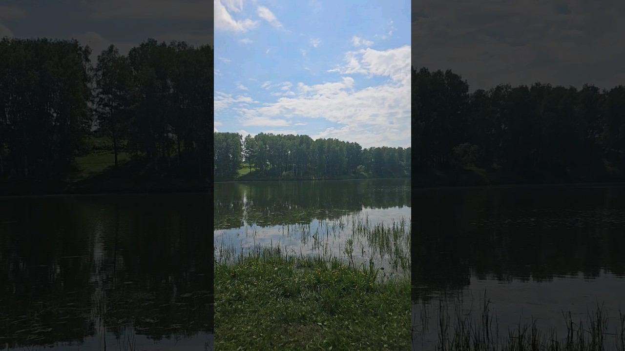 Зайчик рыбак) #праздник #аниматоры #анимация #весело #дети #Зайчик #Зайчикобнимаш смотреть онлайн