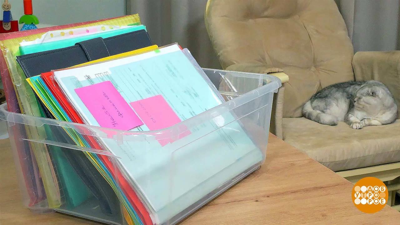 Ваши документы всегда в порядке! Доброе утро. Фрагмент выпуска от 08.11.2023