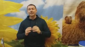 Кондитерский урожайный подсолнечник СПК. Сорт кондитерский СПК улучшенная Лакомка. 0675605115