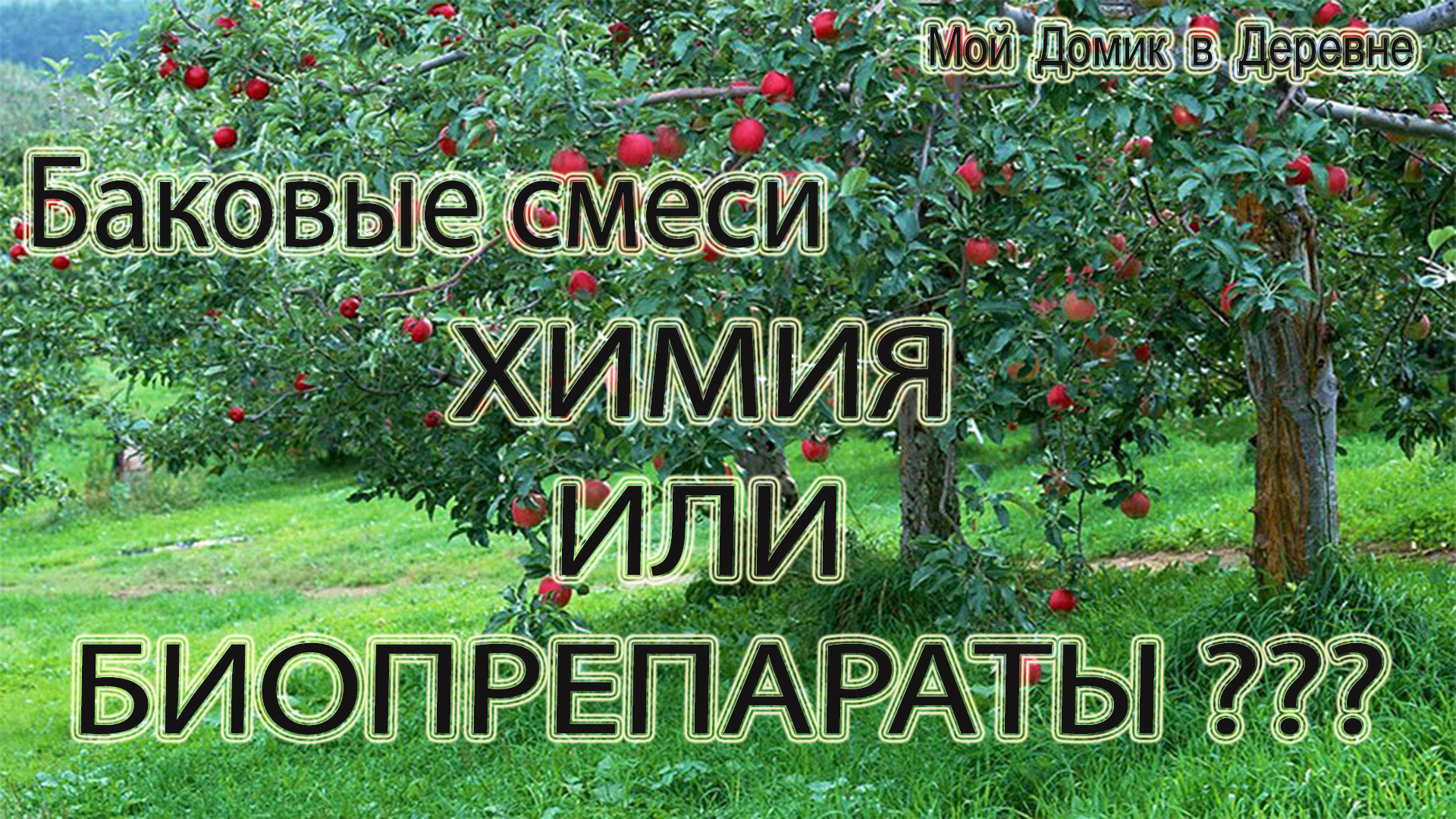 ДВЕ БАКОВЫЕ СМЕСИ которые можно использовать ВЕСЬ СЕЗОН !!!.mp4 смотреть онлайн