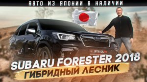 Subaru Forester SKE 18 года обзор. Насколько он гибридный и кроссоверный? Авто с аукциона Японии