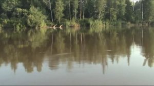 ?РЫБАЛКА на р.Чулым июль 2020?