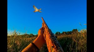 УТКИ САДЯТСЯ НА ГОЛОВУ. УТРЕННЯЯ ОХОТА НА УТКУ С СЫНОМ / MAX HUNTER