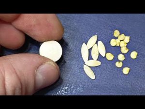 Старые семена пробиваются за ночь после замачивания в этих таблетках. Замочить в янтарной кислоте.