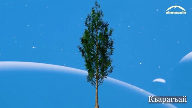 Баппахан — Сезле, 4 бёлюм (Слова, часть 4) | Bappahan — Words for kids, part 4 смотреть онлайн