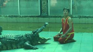 ШОК! Крокодил Чуть не откусил Голову ПАРНЮ!..