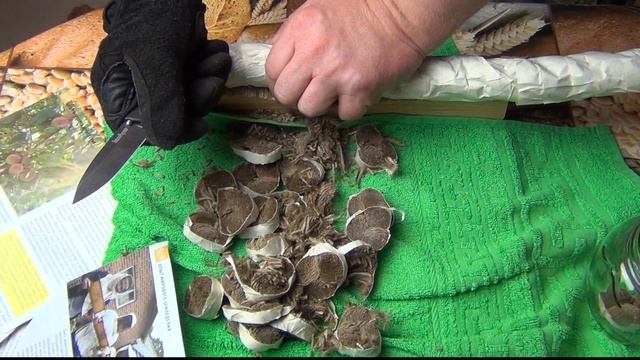 Kershaw 1760 Skyline 14C28N рез каната #1 смотреть онлайн