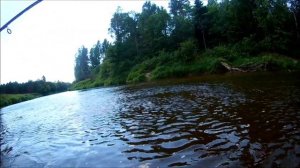 Лучшая рыбалка на реке Плюсса Псковской области. Готовим на природе.