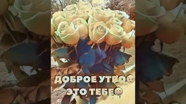 #ПОЖЕЛАНИЕ#С_ДОБРЫ_УТРОМ#открытка#утро#сдобрымутром#хорошегодня#начнисвойденьсулыбки#музыкальнаяотк