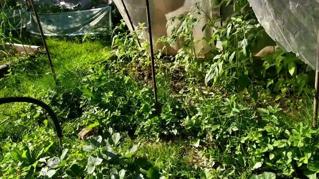 Закончили штукатурку стен, цена вопроса/работаем у соседей...