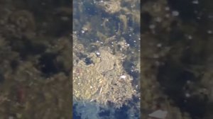 Рыбалка в Краснодаре. Карасун Краснодар Карп 16.06.17 Рыбалка на Кубани
