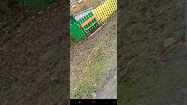 сюмси