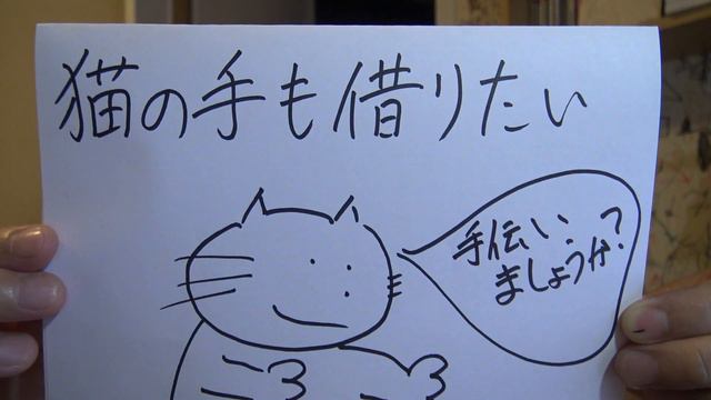 猫の手も借りたい　Попросить помощь у котов?【Устойчивое выражение】 смотреть онлайн