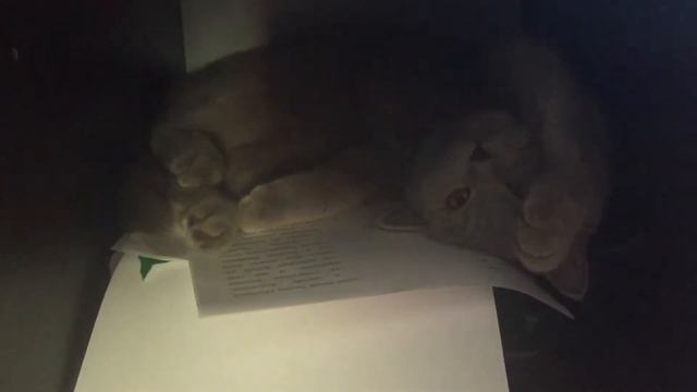 Утро после праздников смотреть онлайн