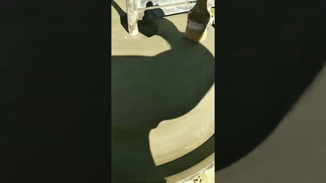 Как сделать фонтан своими руками.Часть-5
How to make a fountain with your own hands. Detail-4. смотреть онлайн