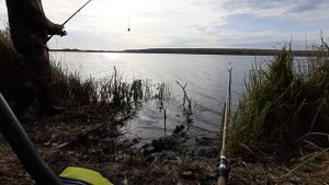 Рыбалка на карася (октябрь 2022)