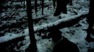 Лайки Марий Эл