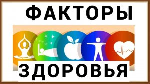 ФАКТОРЫ ЗДОРОВЬЯ ЧЕЛОВЕКА
