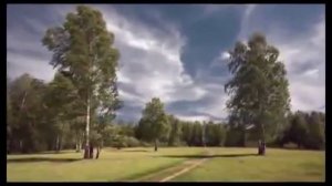 Белая берёза. Михаил Гулько