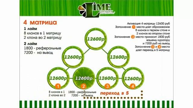 Маркетинг план Lime Company подробно Лайм компани смотреть онлайн