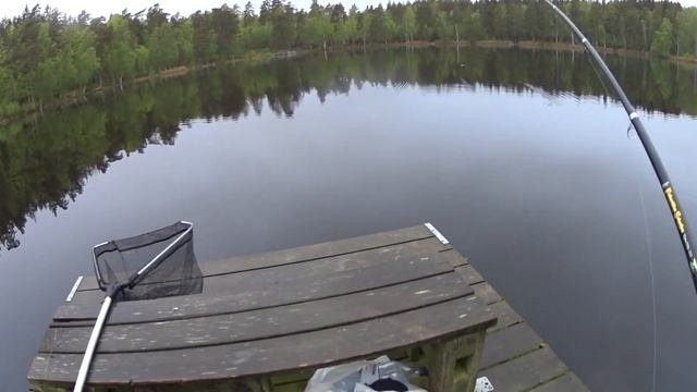 Рыбалка в Швеции.Форель.Поймать любой ценой.