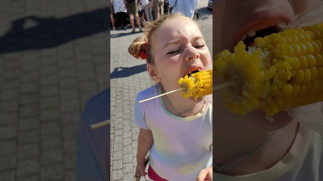 VID_20240831_151501_387.mp4