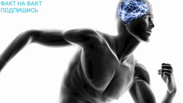 ЧТО НА САМОМ ДЕЛЕ ВИДИТ ЧЕЛОВЕК ПЕРЕД СМЕРТЬЮ смотреть онлайн