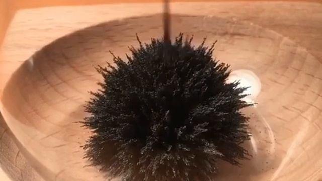 Магнитные песочные часы. ерромагнитный песок собирается над неодимовым магнитом в деревянной основе смотреть онлайн