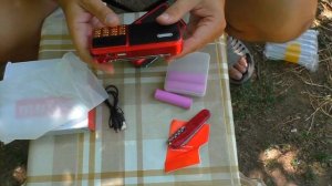 Идеальный приемник для дачи найден.