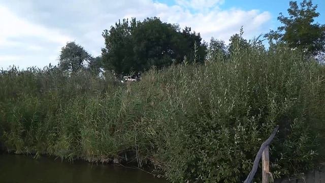 Пруд Чапаево возле посёлка Раздольное (ранее Чапаева)