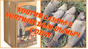 Сазан холодного копчения. Дешовая коптилка с OZON.