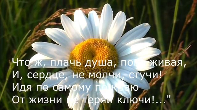 Ольга Овчарова - Душа сказала: "Так устала!"