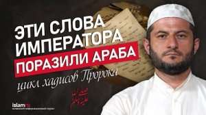 Эти слова императора поразили араба