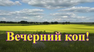 Вечерний коп на мусорном поле. Копатель ДИВ Кладоискатель