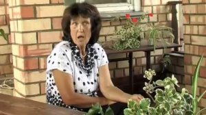 Гальтония. Многолетние цветы.