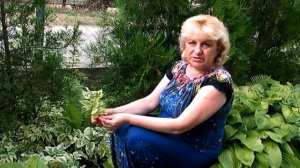 СНЫТЬ ПЕСТРОЛИСТНАЯ