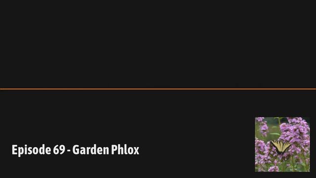 GardenDC Podcast Episode 69: Garden Phlox смотреть онлайн