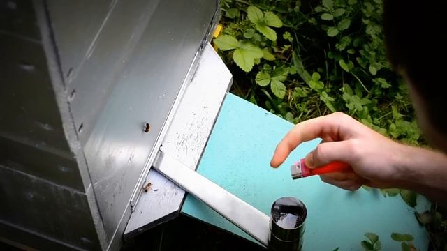 Обработка от клеща VARROJET смотреть онлайн