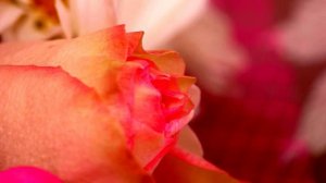 Лучшая песня для путешествия в отличном качестве