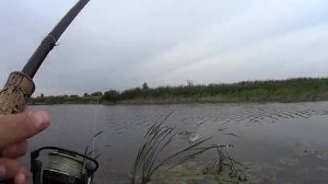 Отличный клев крупного Окуня и Щуки в начале осени.