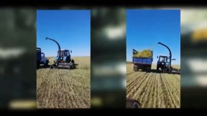 Прицепной кормоуборочный комбайн CELIKEL CALABRIA 1800