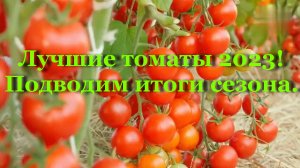 Лучшие томаты 2023! Подводим итоги сезона.