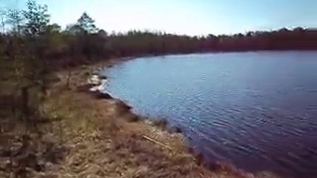 Волчье озеро смотреть онлайн