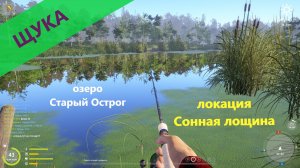 Русская рыбалка 4 - озеро Старый Острог - Щука в далекой заводи