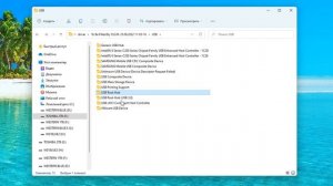 Как сделать резервную копию всех драйверов Windows 11.Double Driver