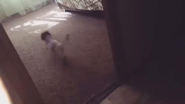 Утренний тыг дыг смотреть онлайн